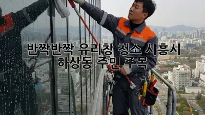 ✨ 반짝반짝 유리창 청소, 시흥시 하상동 주민 주목! ✨