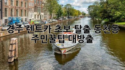 경주 렌트카 초보 탈출!🚗 동천동 주민꿀팁 대방출✨